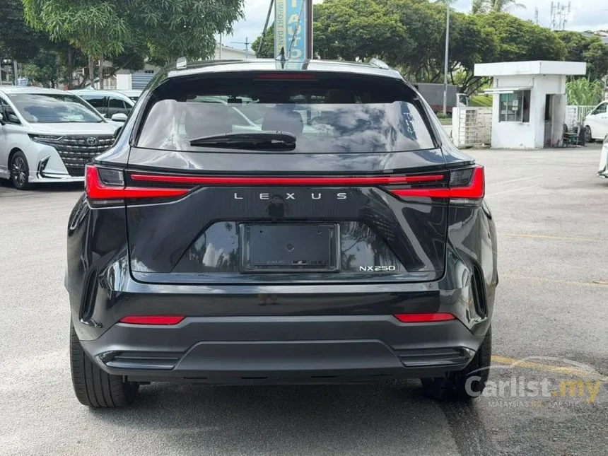 2023 Lexus NX 250 SUV