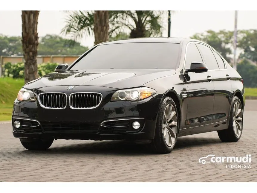 2017 BMW 520i Luxury Sedan