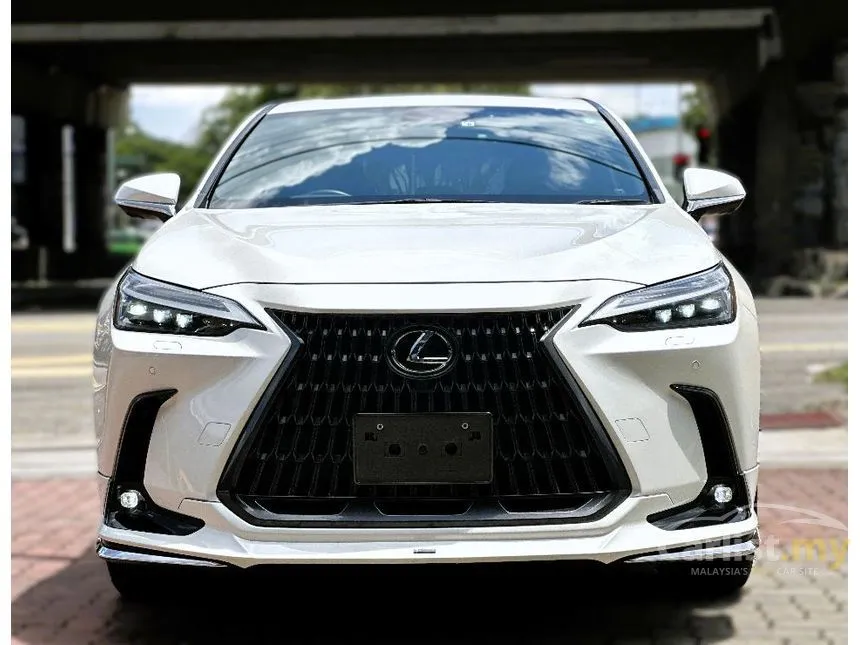 2022 Lexus NX 250 Luxury SUV