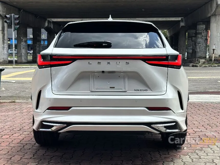 2022 Lexus NX 250 Luxury SUV