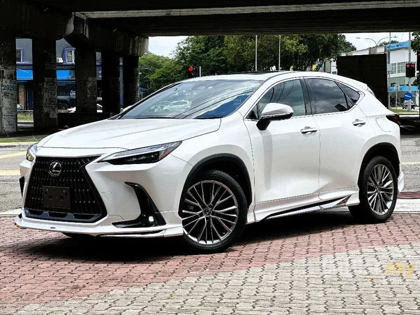 2022 Lexus NX 250 Luxury SUV
