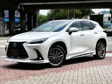 2022 Lexus NX 250 2.5 Luxury SUV Modellista Kits Polishing&Coating Treatment RM2000 Giveaway CashBack