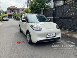 2025 Wuling Binguo EV 333 Long Range AC/DC Hatchback