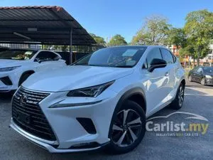 2020 Lexus NX 300 2.0 F Sport SUV