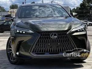 2022 Lexus NX 250 2.5 Luxury SUV