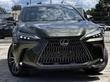 2022 Lexus NX 250 2.5 Luxury SUV