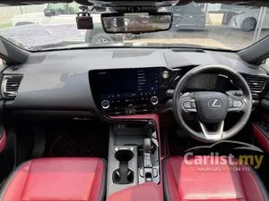 2023 Lexus NX 250 2.5 Luxury SUV