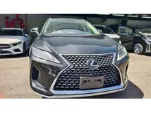 2021 Lexus RX 300 2.0 Luxury FULL SPEC