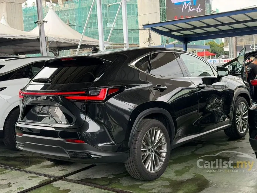 2023 Lexus NX250 SUV