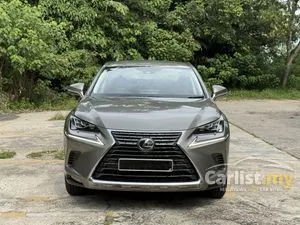 2020 Lexus NX 300 2.0 SUV