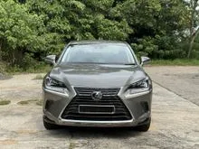 2020 Lexus NX 300 2.0 SUV
