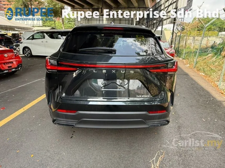 2022 Lexus NX 250 Luxury SUV