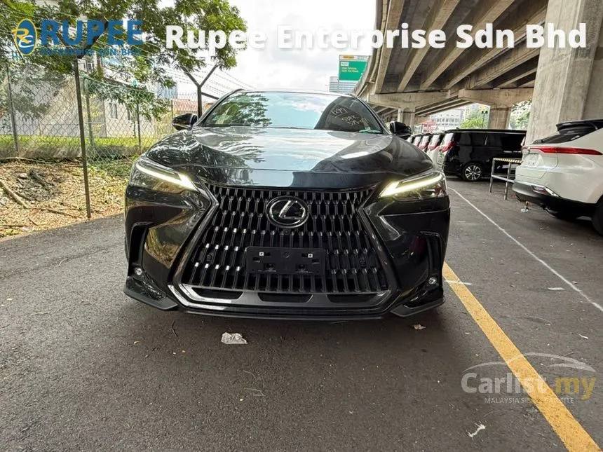 2022 Lexus NX 250 Luxury SUV