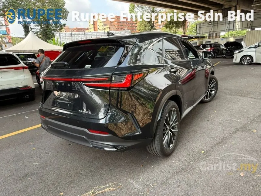 2022 Lexus NX 250 Luxury SUV