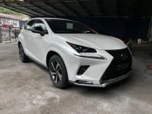 2021 Lexus NX 300 2.0 F SPORT SPICE N CHIC