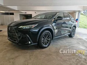 2021 Lexus NX 250 2.5 Luxury SUV