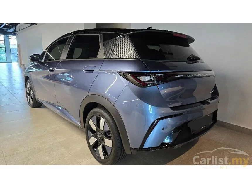 2024 BYD Dolphin Premium Hatchback