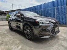 BROWN LEATHER 2023 Lexus NX 250 2.5 Luxury NX250 SPECIAL DEAL UNREG CHEAPEST