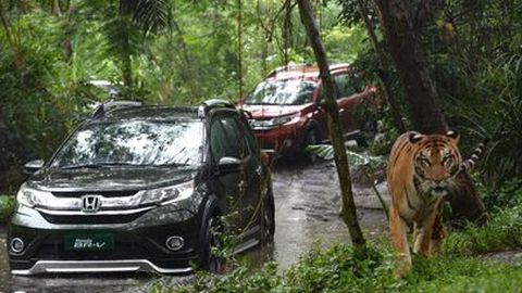 Awal Tahun, Honda BR-V Langsung Dominan