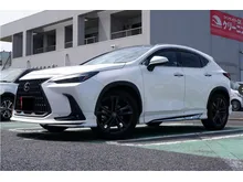 2023 Lexus NX 250 2.5 VERSION L MODELLISTA BODYKIT INCOMING STOCK