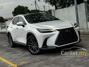 2023 Lexus NX 250 2.5 SUV