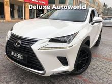 2018 Lexus NX300 2.0 Urban SUV