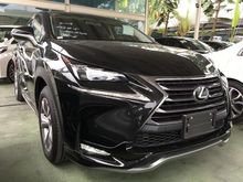 2014 Lexus NX200t 2.0 MODELISTTA BODY KIT SUV