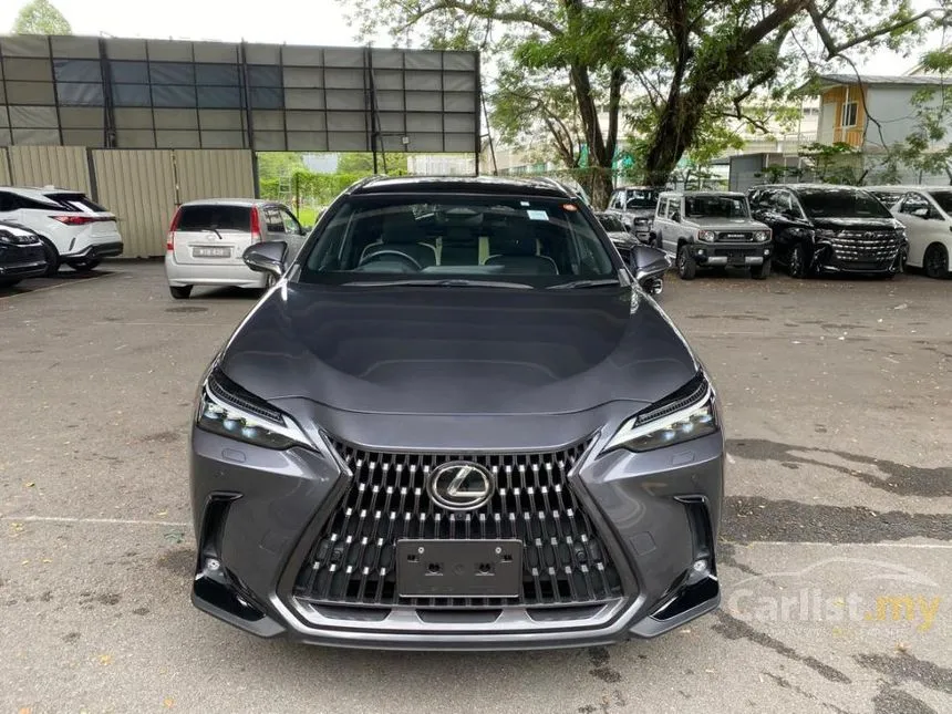 2023 Lexus NX 250 Luxury SUV