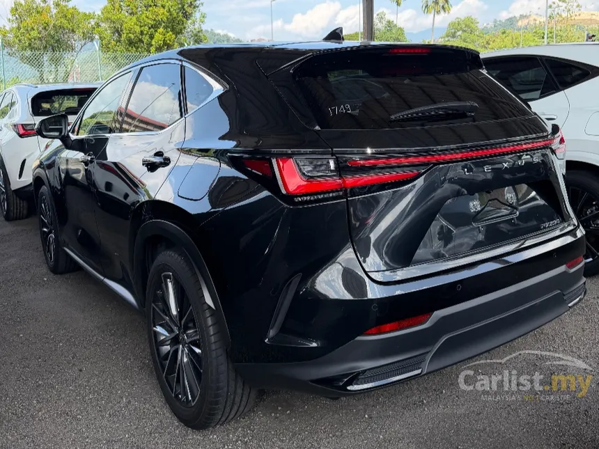 2023 Lexus NX 250 Luxury SUV