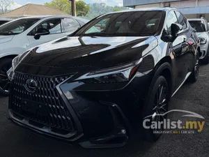 2023 Lexus NX 250 2.5 Luxury SUV