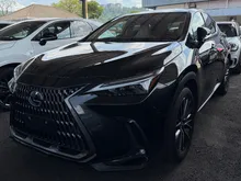 2023 Lexus NX 250 2.5 Luxury SUV / BROWN INTERIOR