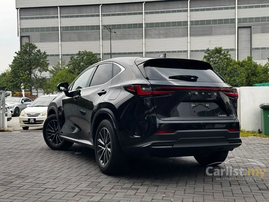 2023 Lexus NX250 SUV
