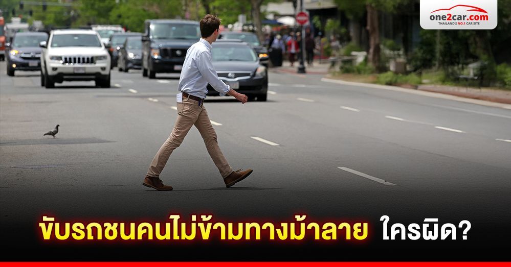 ขับรถชนคนไม่ข้ามทางม้าลาย ใครผิด?