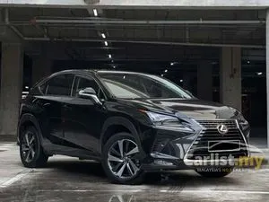 2018 Lexus NX 300 2.0 SUV