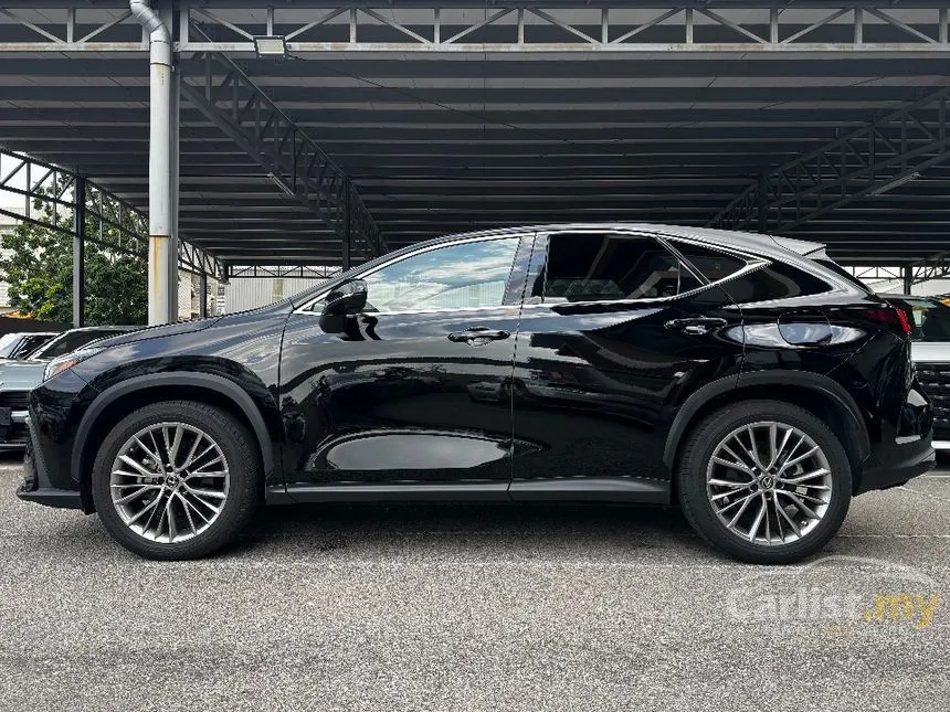 2023 Lexus NX 250 Luxury SUV