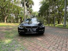 2013 BMW 320i 2.0 Luxury Sedan
