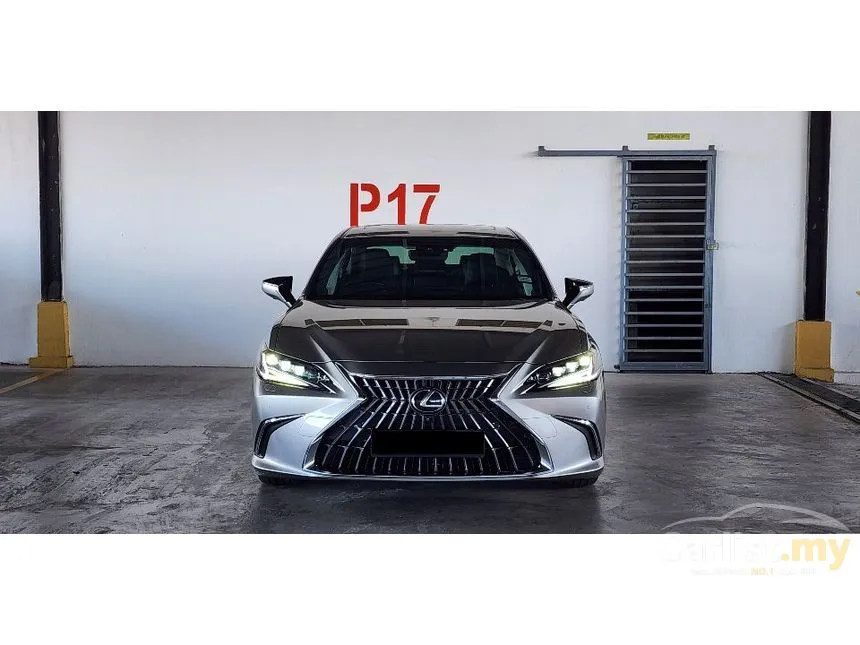 2021 Lexus ES 250 Luxury Sedan