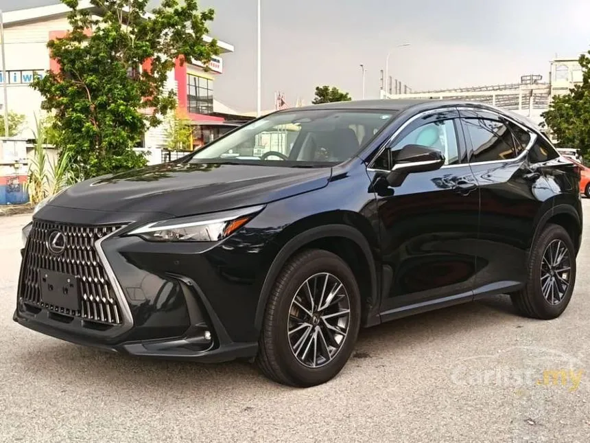 2022 Lexus NX 250 Luxury SUV