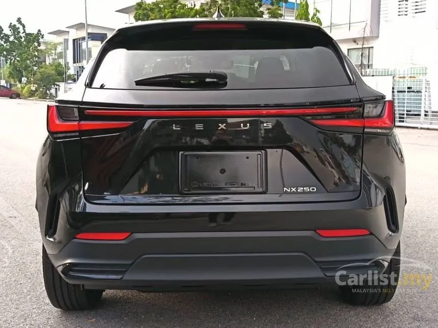 2022 Lexus NX 250 Luxury SUV
