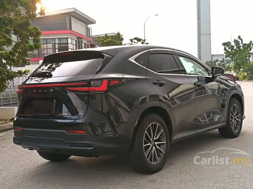 2022 Lexus NX 250 Luxury SUV