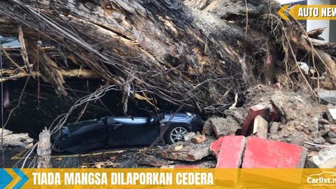 Perodua Axia Musnah Ditimpa Pokok Berusia Lebih 100 Tahun – DBKL Tanggung Kerosakan
