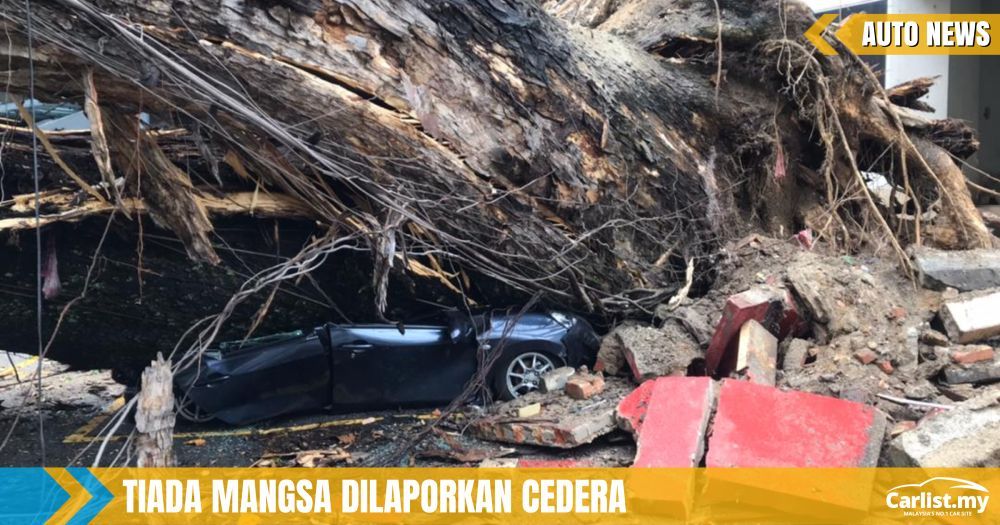 Perodua Axia Musnah Ditimpa Pokok Berusia Lebih 100 Tahun – DBKL Tanggung Kerosakan
