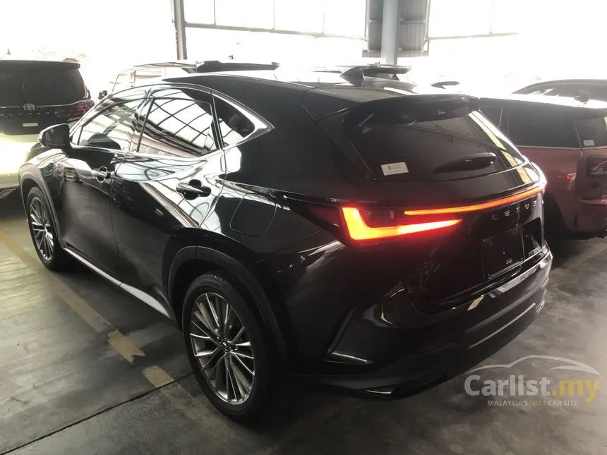 2023 Lexus NX 250 SUV