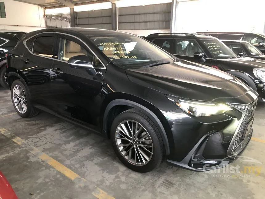 2023 Lexus NX 250 SUV