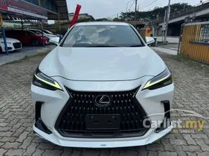 2022 Lexus NX 250 2.5 Luxury SUV