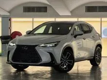 2023 Lexus NX 250 2.5 Luxury SUV GRADE 4.5B