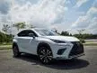 Recon 2019 Lexus NX300 2.0 F Sport NFL 2 TONE HUD BSM UNREG - Cars for sale