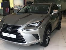 2020 Lexus NX300 2.0 Urban SUV