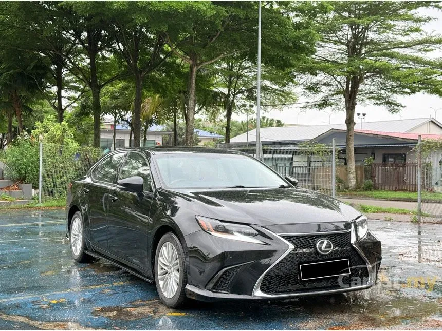 2014 Lexus ES 250 Luxury Sedan