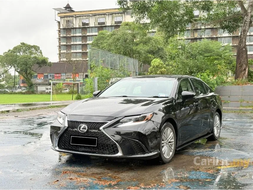 2014 Lexus ES 250 Luxury Sedan